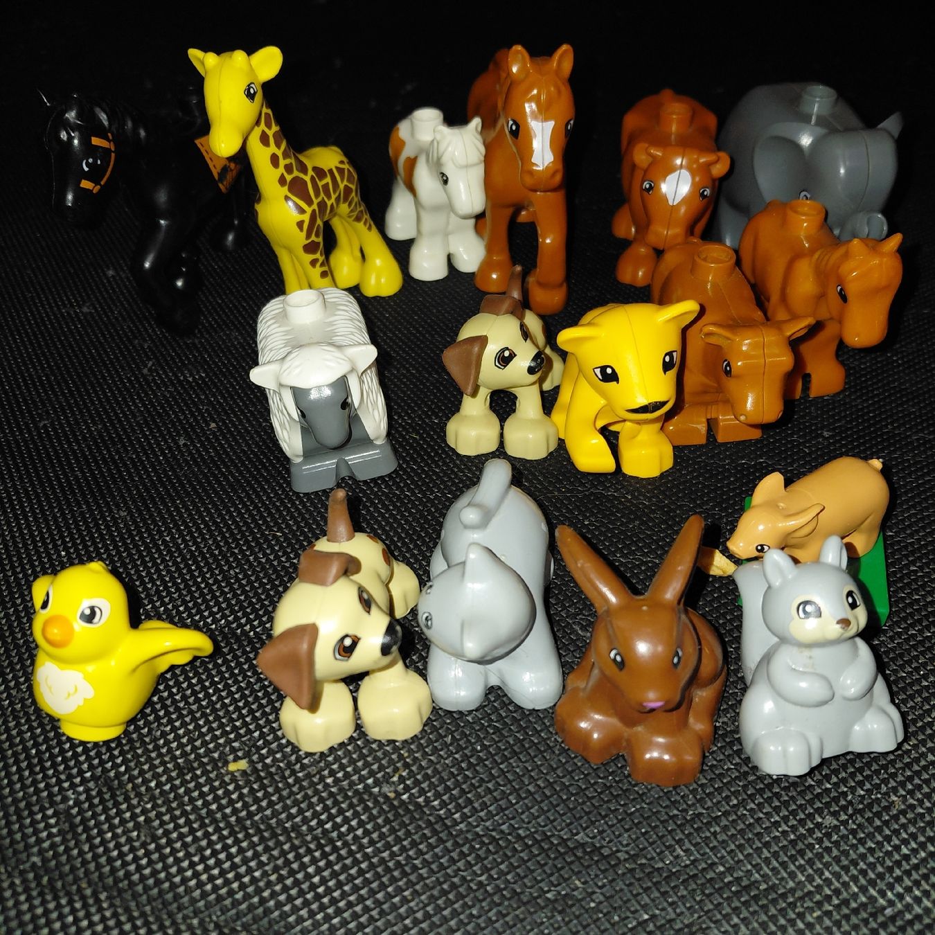 Lego Giocattoli: Lego Duplo Ser – Usato da Morissen venduto da inf_t98l 1