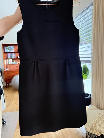 Max Mara Dress (M)