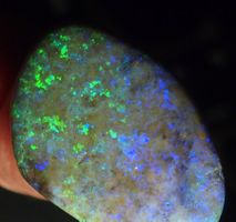 31 Crt. Andamooka-Opal mit starken Funken!