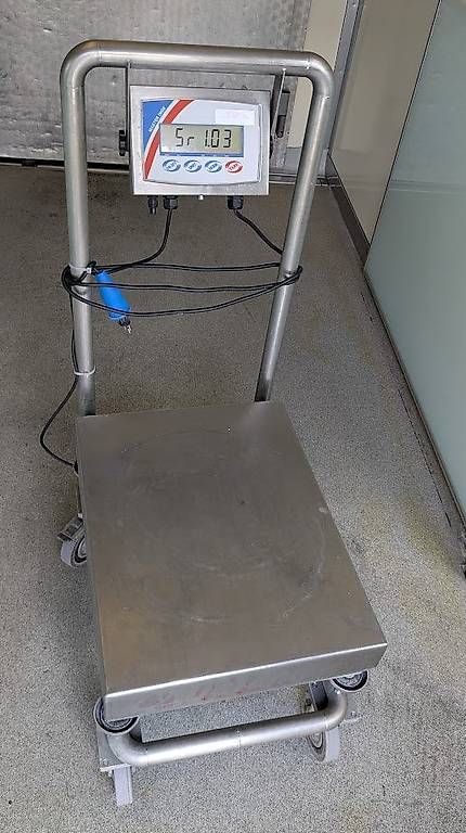 Bilance e pesi: Waage bis 60 kg – Usato da Uster venduto da pfister015