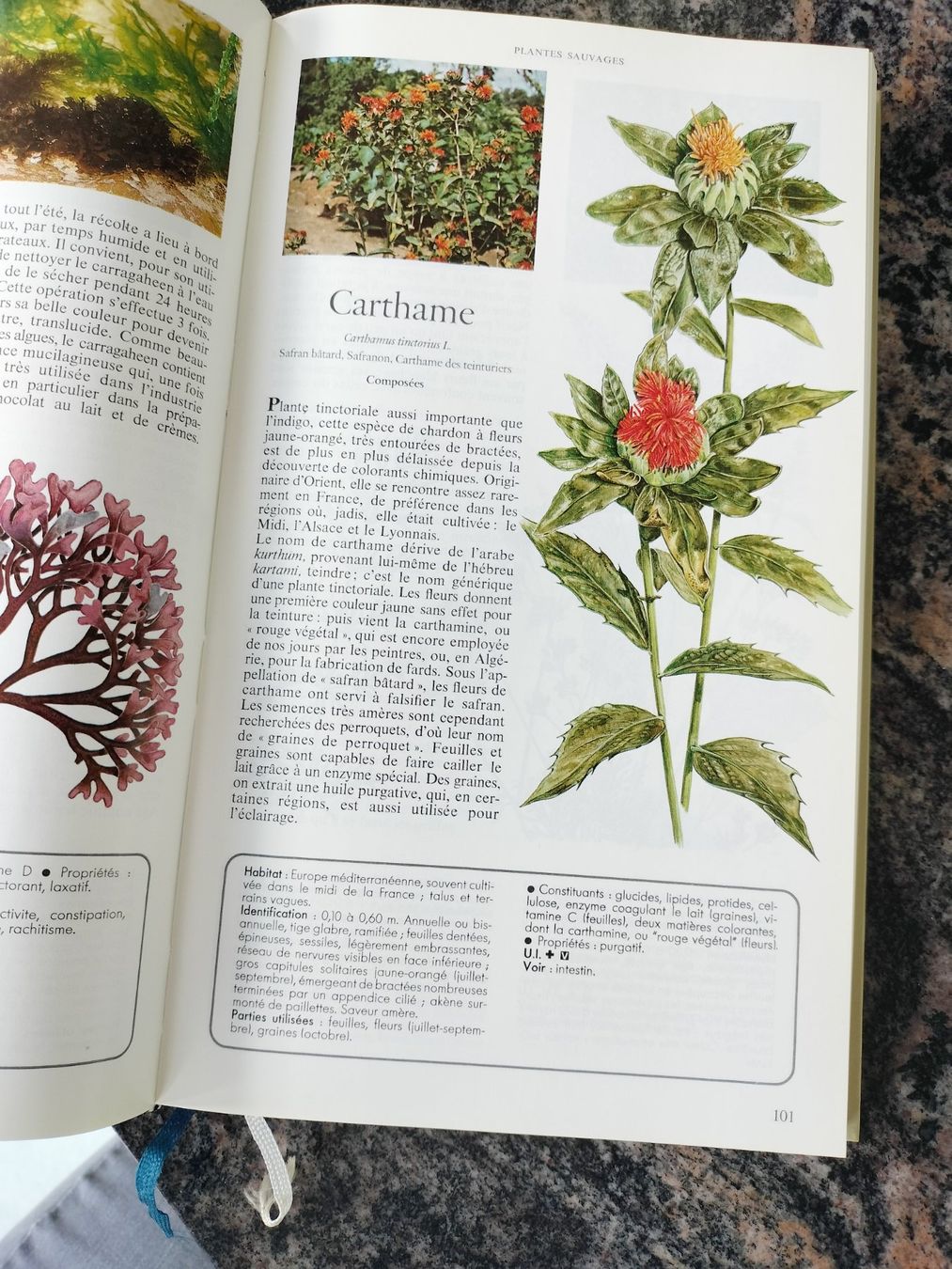 Libri: Secrets et vertus des plantes médicinales – Usato da Cortaillod venduto da rozinna 4