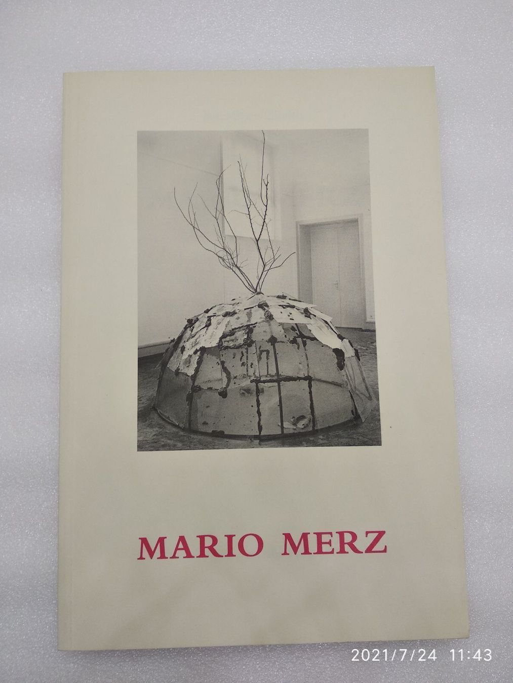 Bücher: MARIO MERZ – Gebraucht aus Goldach von Gaip 2