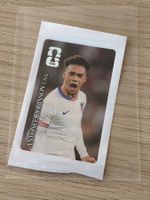Panini FIFA World Cup 2026 Coca Cola Sticker Robinson CC12