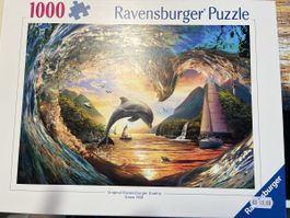 Ravensburger Puzzle 🐬 1000 Teile, komplett