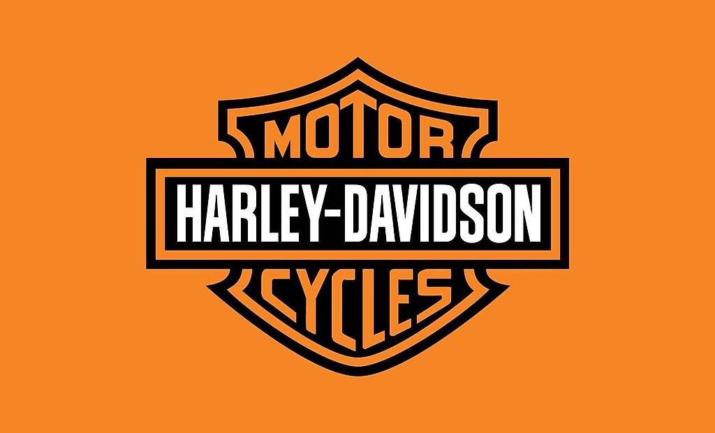 Harley-Davidson Chopper: Harley Davidson / Paughco - Dossier originale - custom – Usato da Losone venduto da HausDa