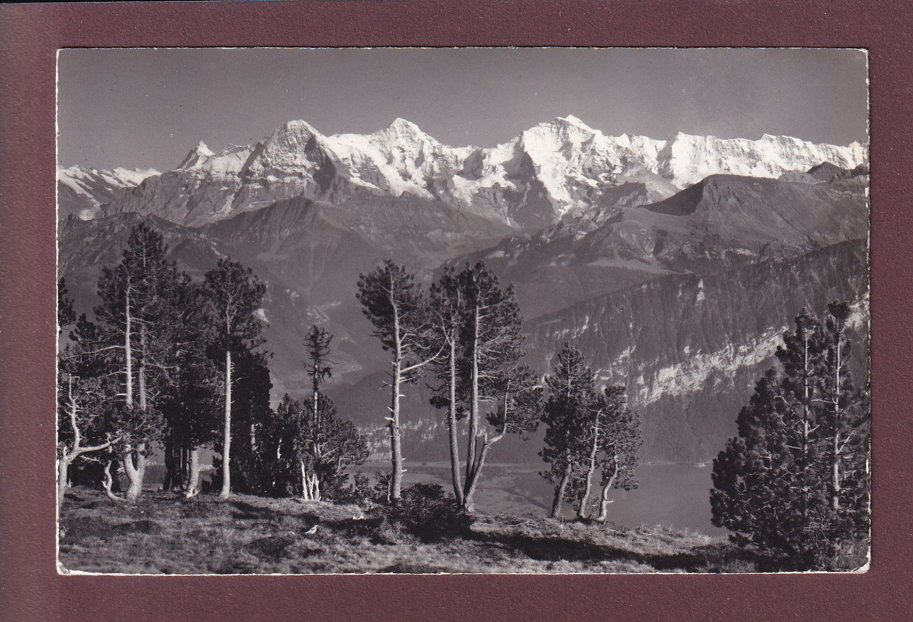 Ansichtskarten: BEATENBERG-NIEDERHORN - 1959 – Gebraucht aus Pully von nicecards
