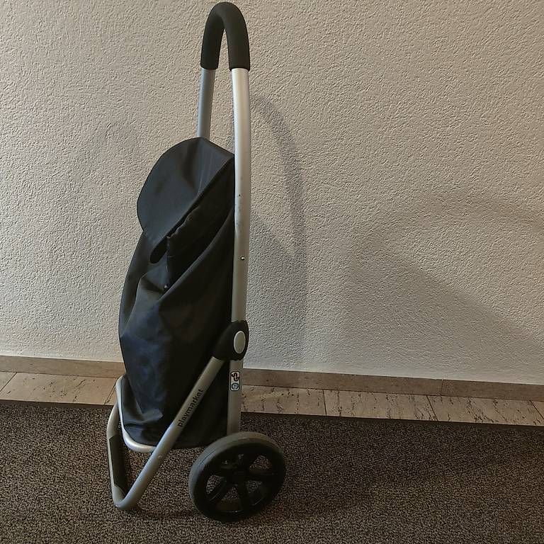 Altro per la casa: Carrello per la spesa 25 kg – Usato da Losone venduto da mar_n5ds 2