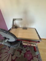 Moll Schreibtisch