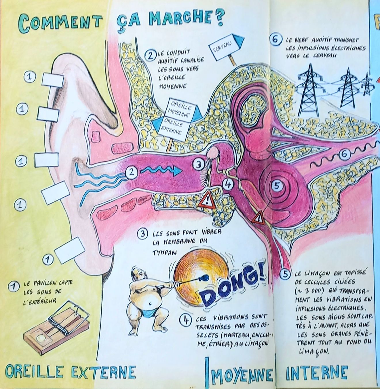 Fumetti: BD Comic - Zlotán - L'oreille perdue – Usato da Niederuzwil venduto da lubimaja 2