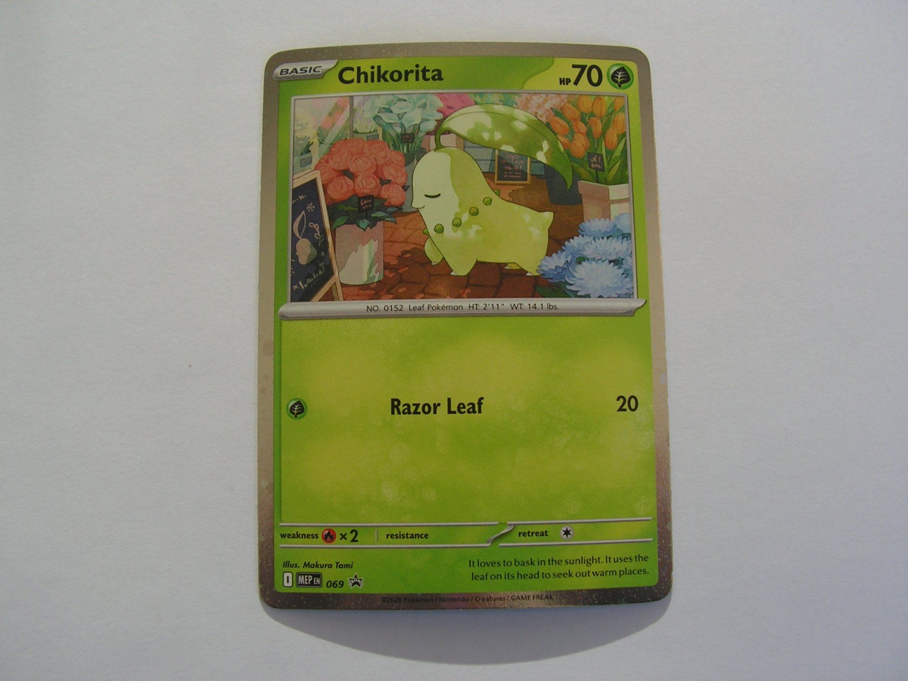 Pokémon Sammelbilder & Trading cards: Chikorita Promo MEP69 – Neu (gemäss Beschreibung) aus Aesch BL von Hansboeni 1