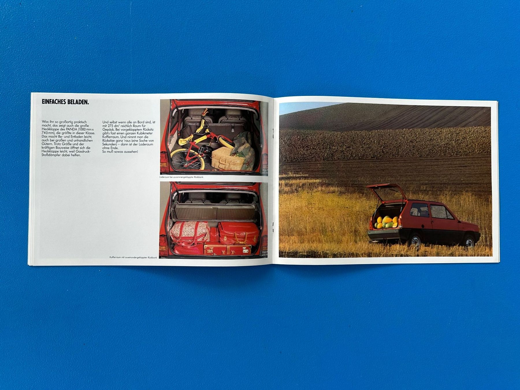 Fiat Documenti: Prospekt  Fiat Panda – Usato da Boswil venduto da pavo1 6