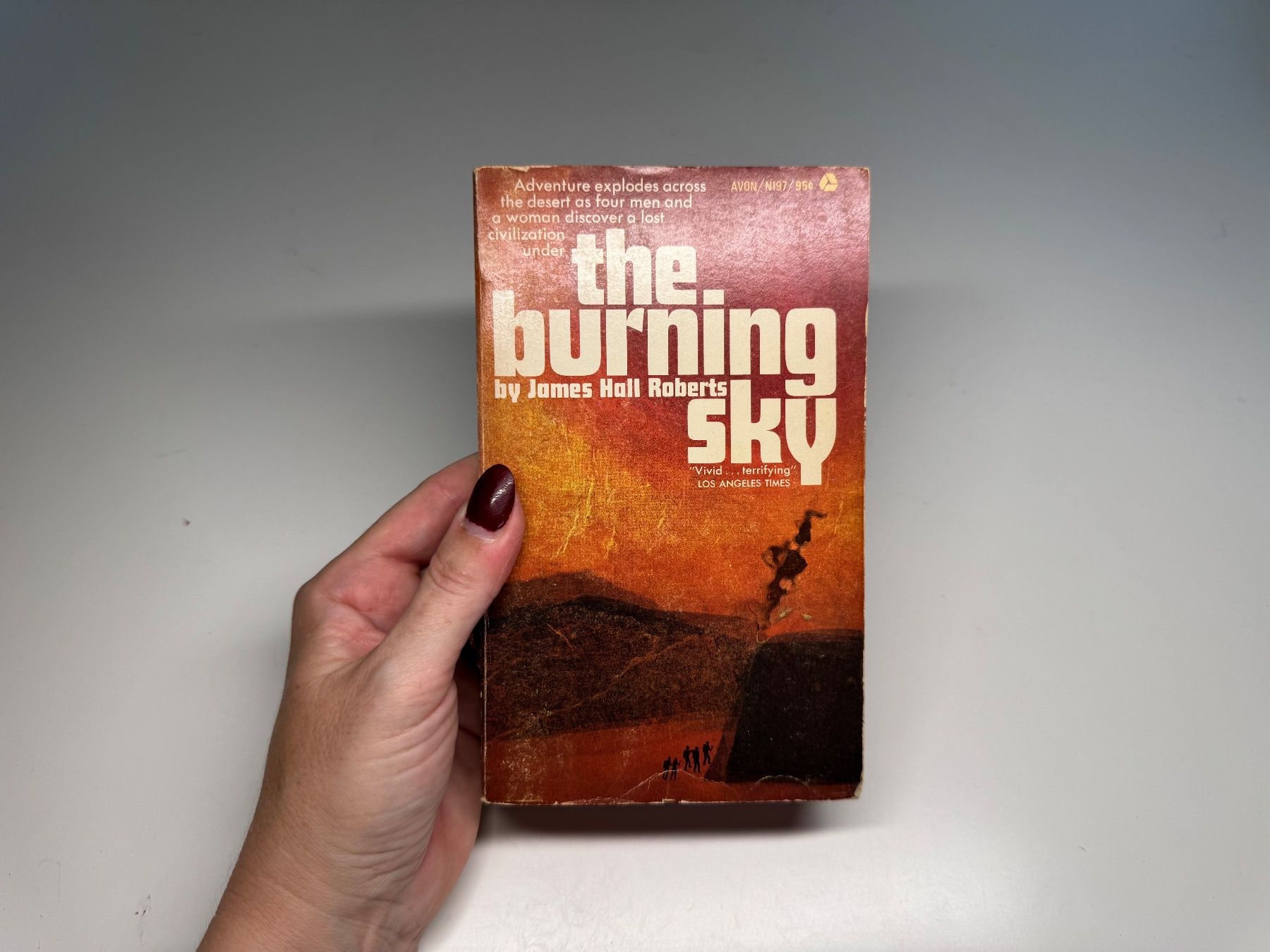 Libri: NOVEL: James Hall Roberts, The Burning Sky – Usato da Grosswangen venduto da English_books