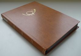 1910-1980, ÄMTER + DIENSTMARKEN Sammlung mit hohem SBK.