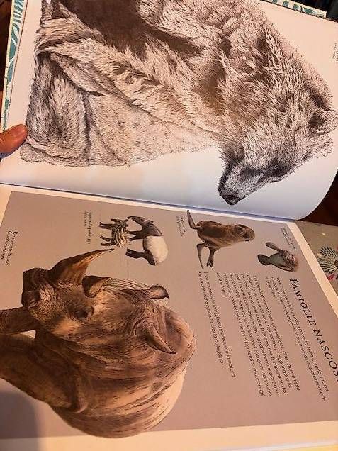 Libri: libro "Pianeta nascoto" di Ben Rothery – Usato da Massagno venduto da anickc 1