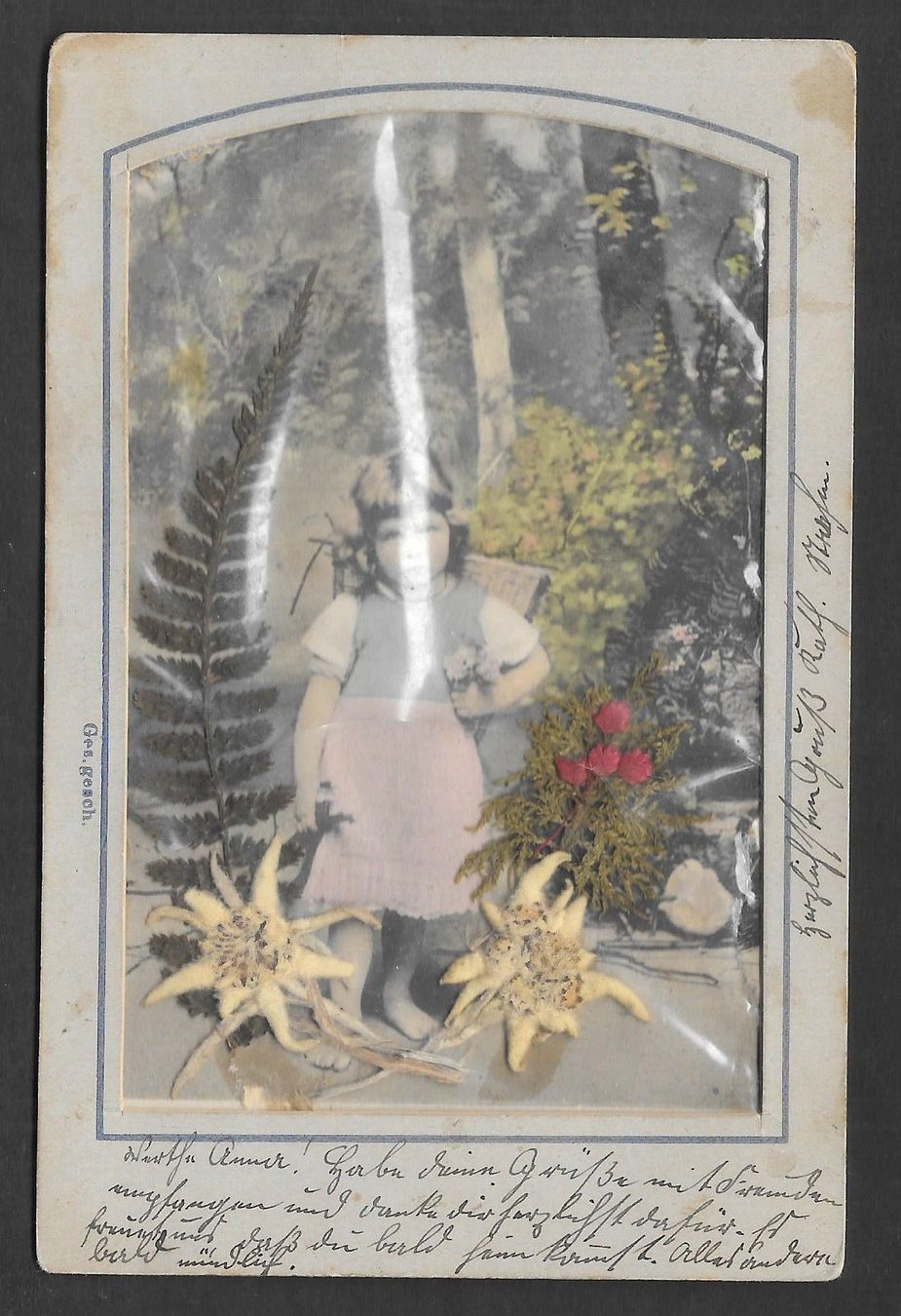 Cartes postales: Kind mit Echtblumen Edelweiss etc. – D'occasion à Olten par clotaldi