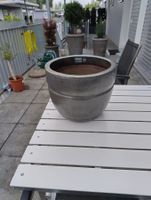 Pflanzen Topf Winterhart
