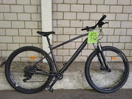 Velo 19