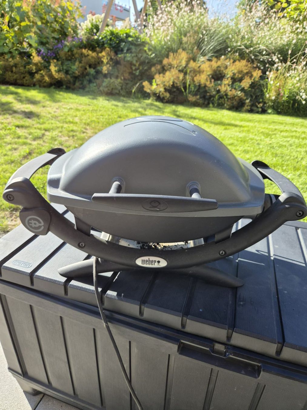 Weber Griglie: Elektrogrill Weber – Usato da Muri AG venduto da Heraklit0 1