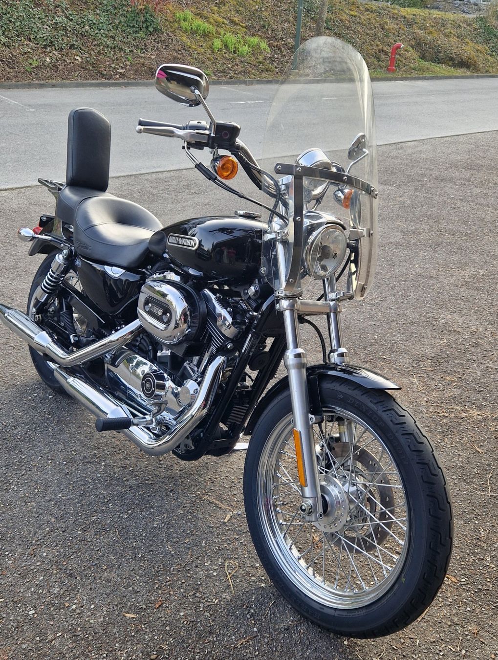 Harley-Davidson Chopper: Harley-Davidson XL 1200L – Usato da Rothenburg venduto da Robinello 1