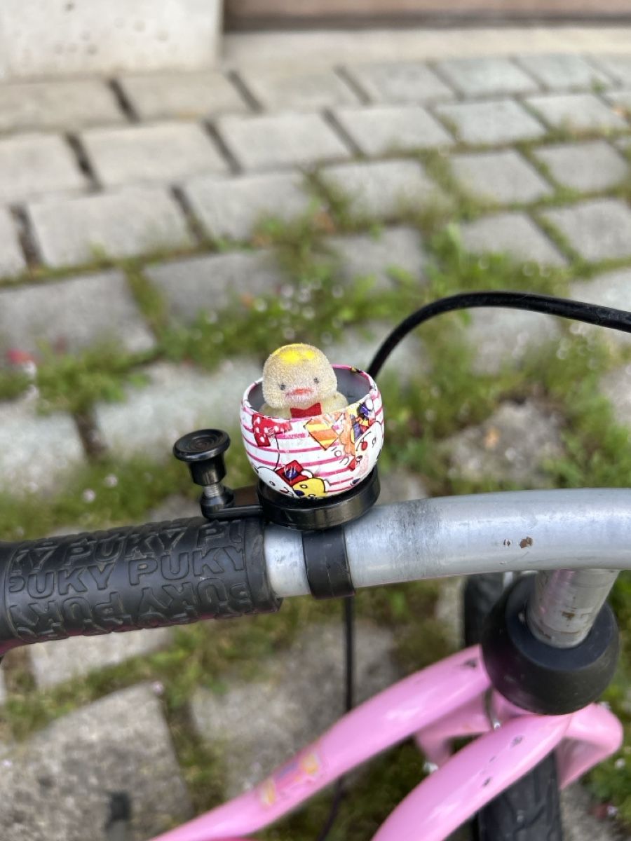 Puky Veicoli per bambini: Laufrad Puky pink gebraucht – Usato da Winterthur venduto da Iron_Horst 3