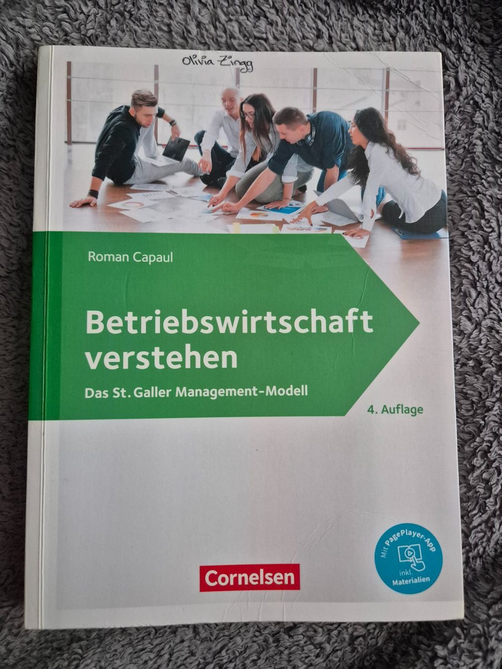 Libri: Betriebswirtschafr verstehen – Nuovo (secondo la descrizione) da Reigoldswil venduto da lus_76dn