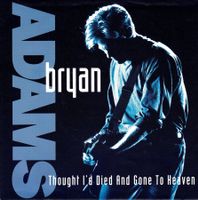 Bryan Adams Vinyl Single von 1991