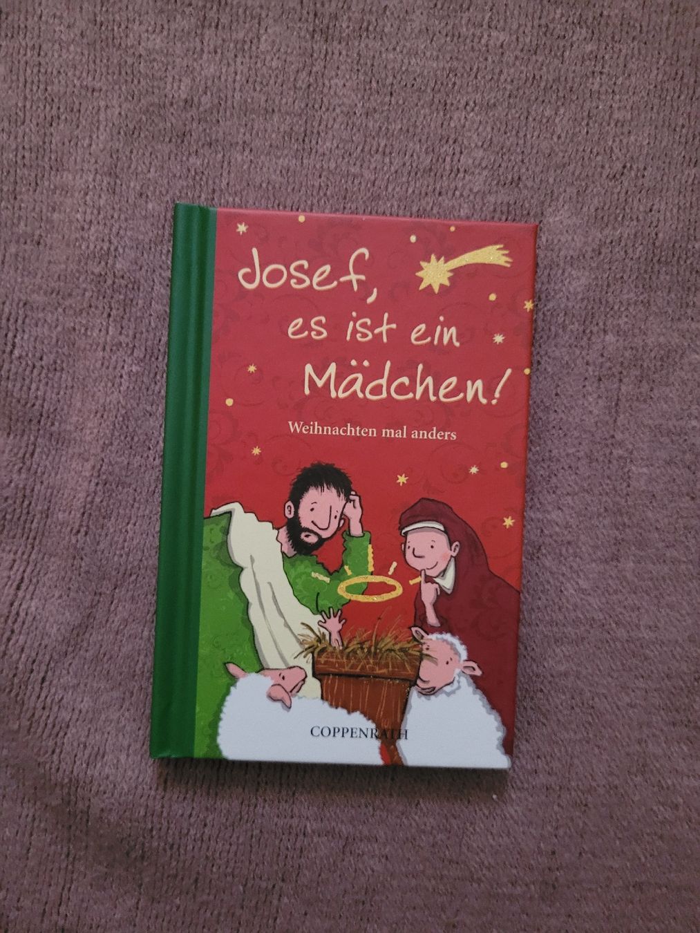 Libri: Weihnachtsbuch "Josef, es ist ein Mädchen!" – Usato da Perlen venduto da Safari_23