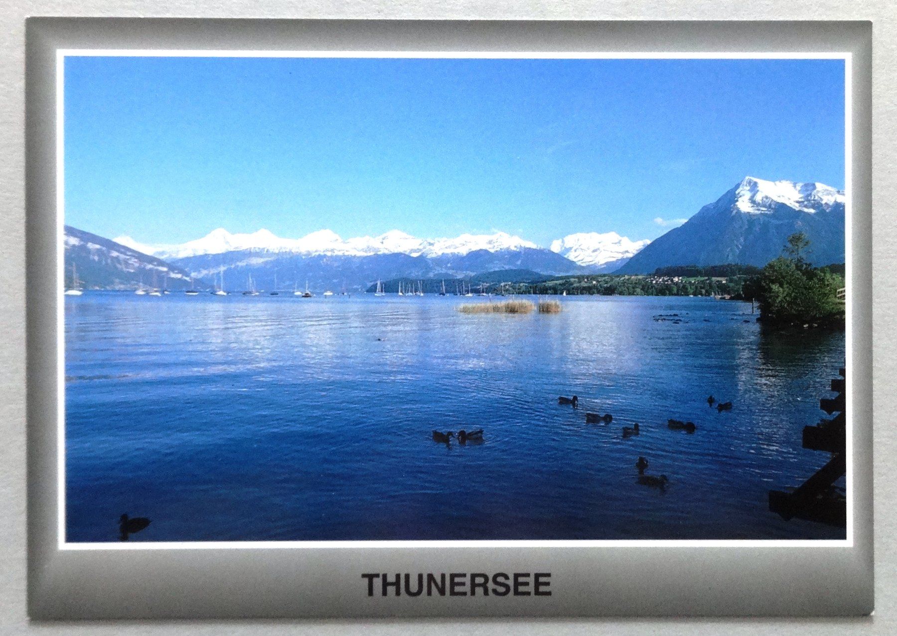 Ansichtskarten: Thunersee, Blick auf Berner Alpen – Gebraucht aus Fétigny von Billy2miny