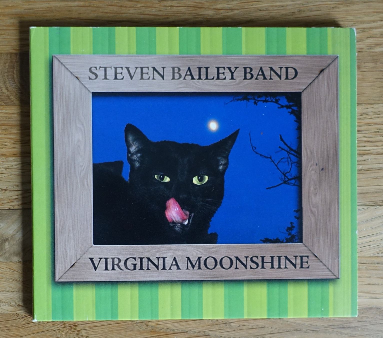 CDs: Steven Bailey Band - Virginia Moonshine - D10 – Gebraucht aus Sessa von discoverymedia