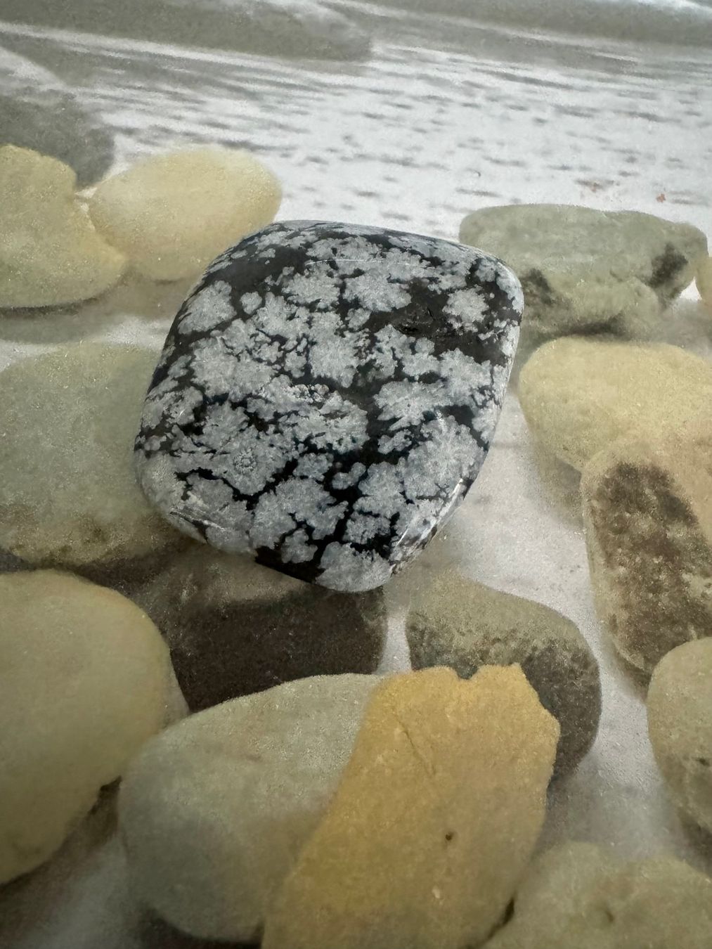 Mineralien & Heilsteine: Schneeflocken-Obsidian – Neu (gemäss Beschreibung) aus Biberist von Steine 1