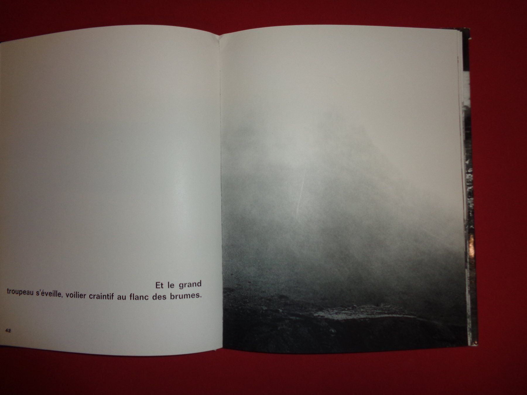 Libri: YVAN Dalain Fotobuch Le Queyras – Usato da Welschenrohr venduto da Regool 4