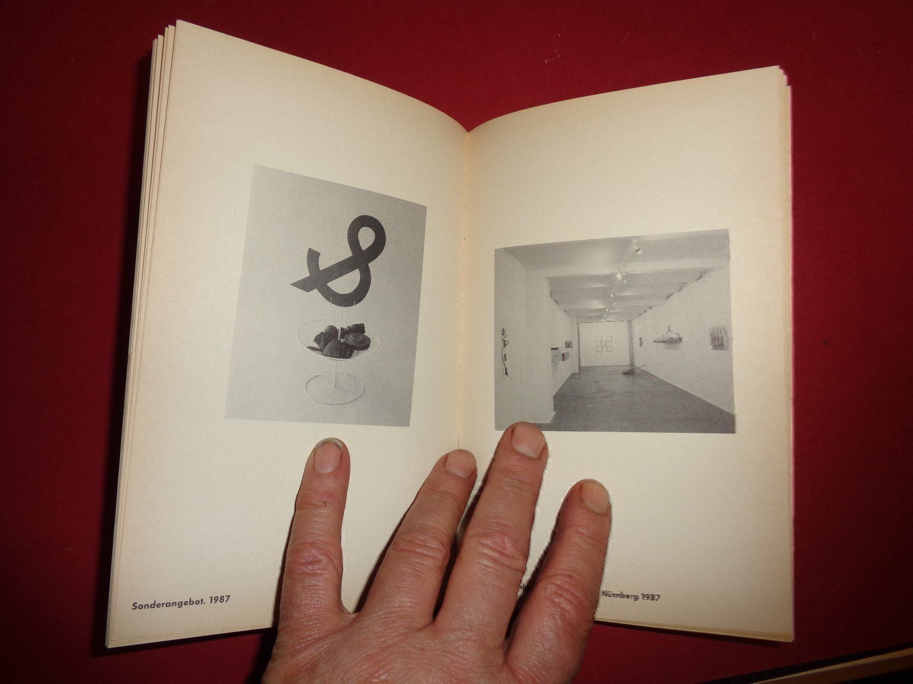 Livres: SCHWEIZER Künstler frei zoderer – D'occasion à Welschenrohr par Regool 1