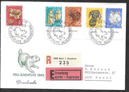 FDC Pro Juventute Serie 1965 ET Bern 1.12.1965 Hans Erni