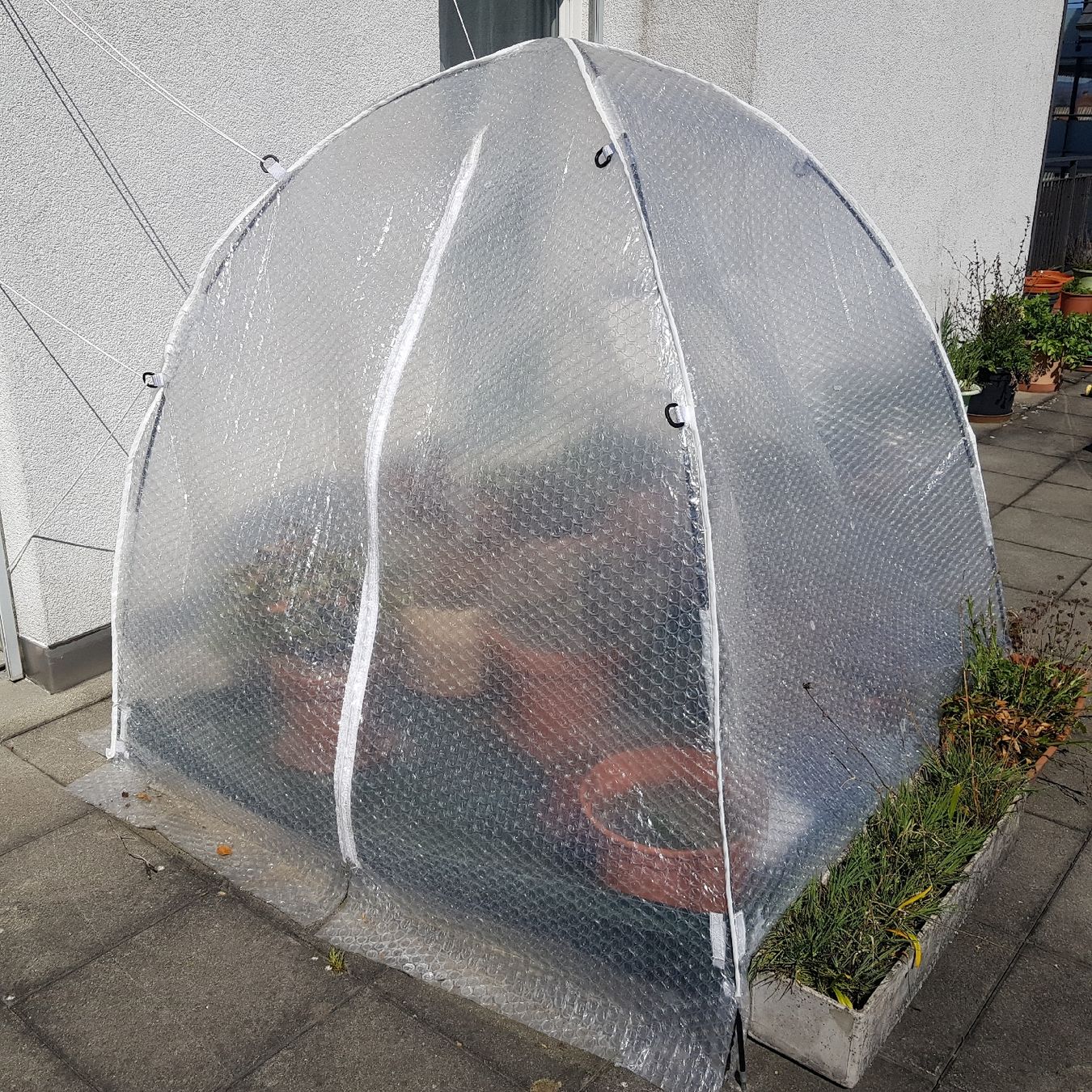 Casette da giardino & serre: Überwinterungszelt "Winter Dome" – Usato da Kappel SO venduto da SebsPlants