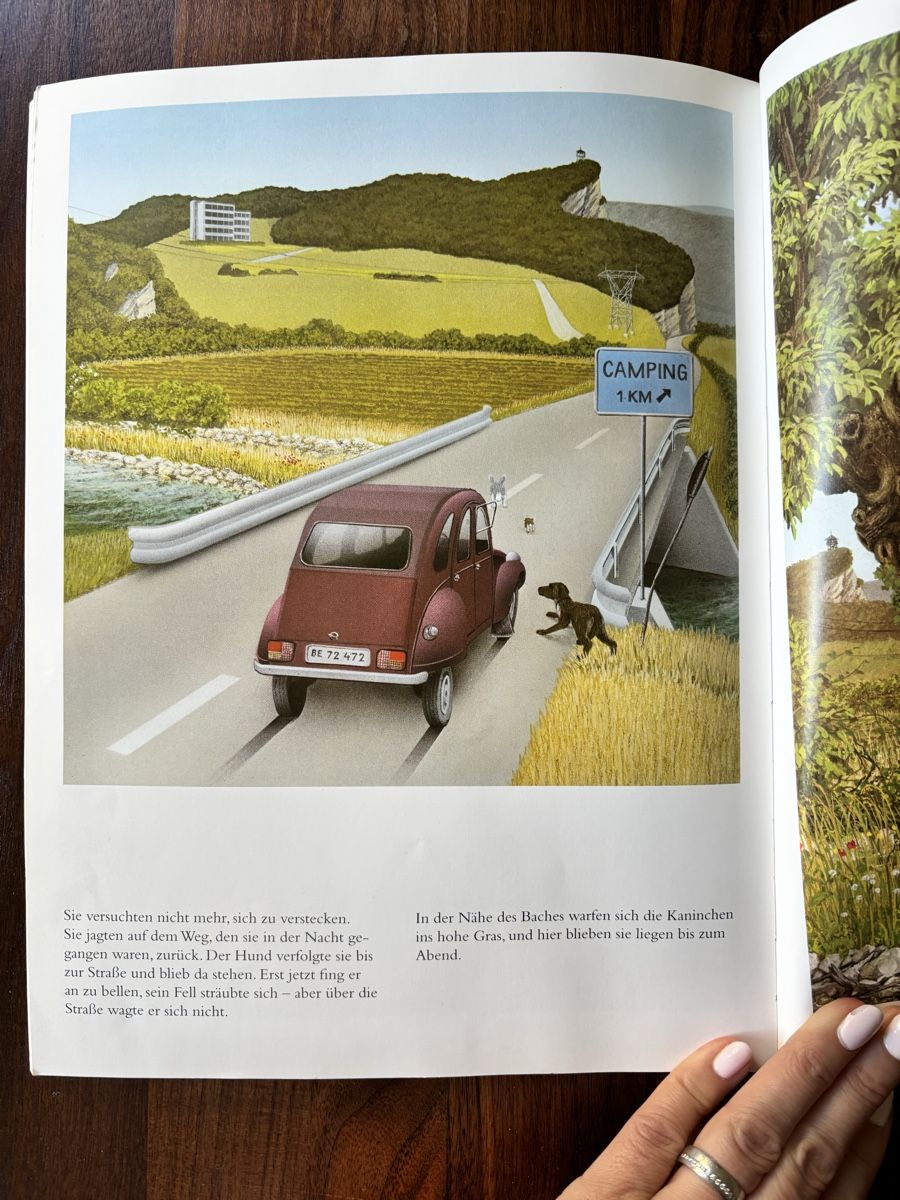 Libri: "Die Kanincheninsel" Kinderbuch – Usato da Zürich venduto da Sonnenschein12 2