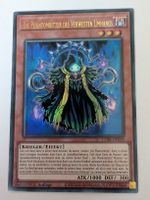 Die Phantomritter des Verwesten Umhangs