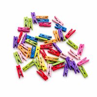53x Bunte Mini Wäscheklammern