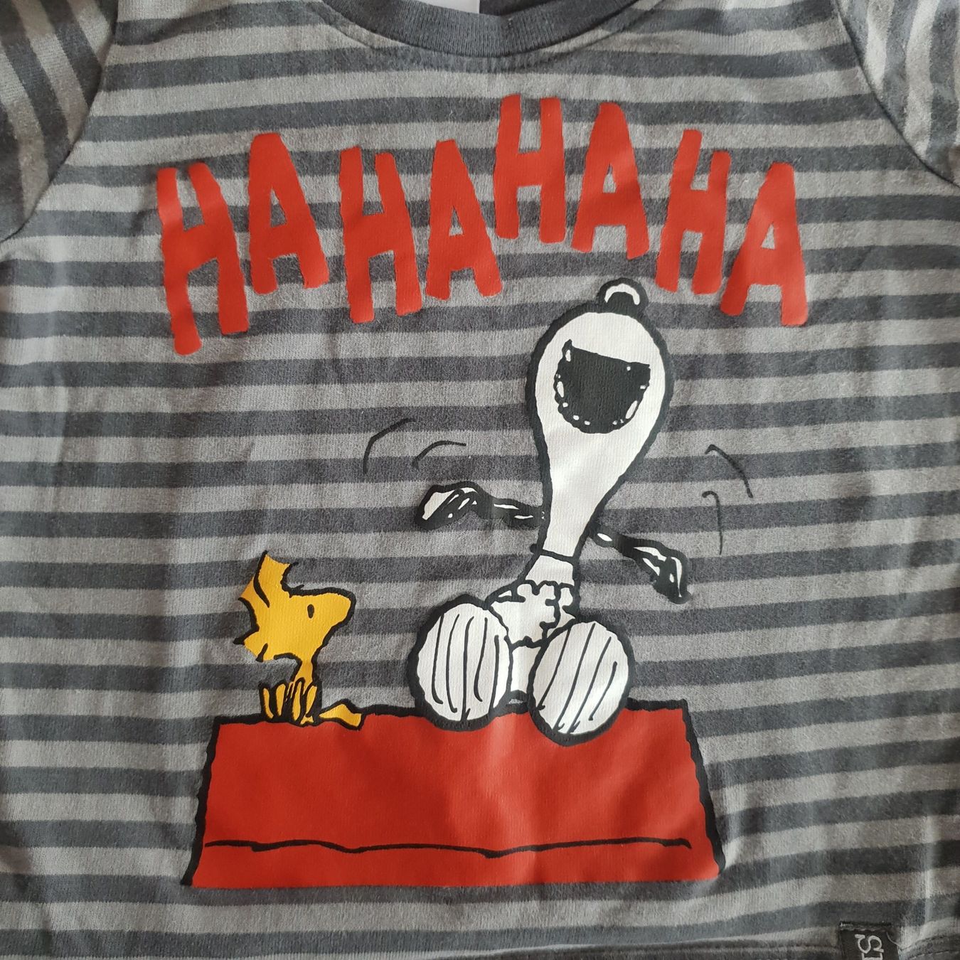 H&M Maglioni & Felpe: 🐸 BABY PULLOVER SNOOPY PEANUTS 68 – Usato da Môtier (Vully) venduto da Frogs