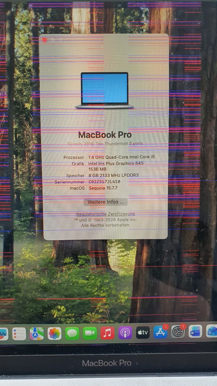 Apple Notebook: MacBook Pro 2019, 13'' DEFEKT – Difettoso da Luzern venduto da anj_7kxq 4