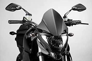 Strada: DPM Windschild Honda CB1000R – Usato da Bättwil venduto da paul74 1