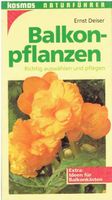 Balkonpflanzen
