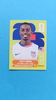 Panini Sticker FIFA WM 2026 - USA 12