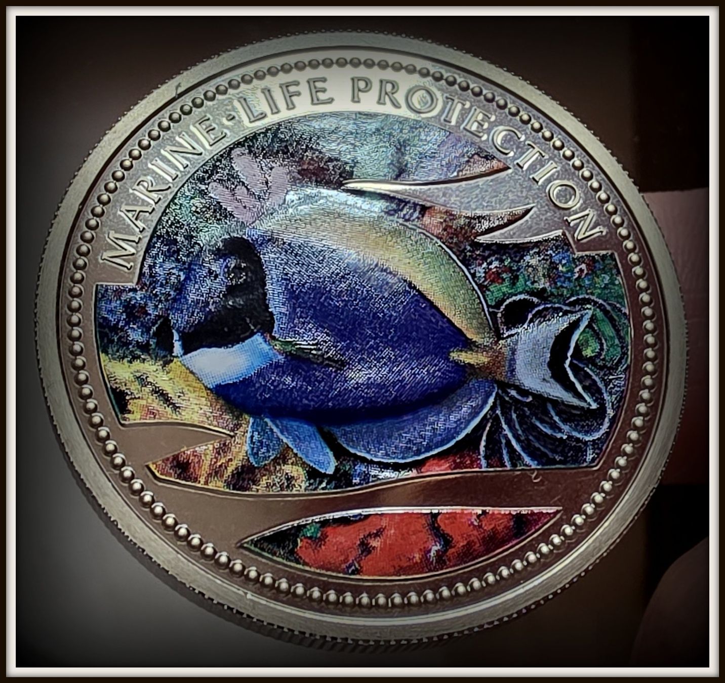 Tutti le monete: PALAU 1 DOLLAR 2002 UNZ. PROOF – Nuovo (secondo la descrizione) da Winterthur venduto da Creso70