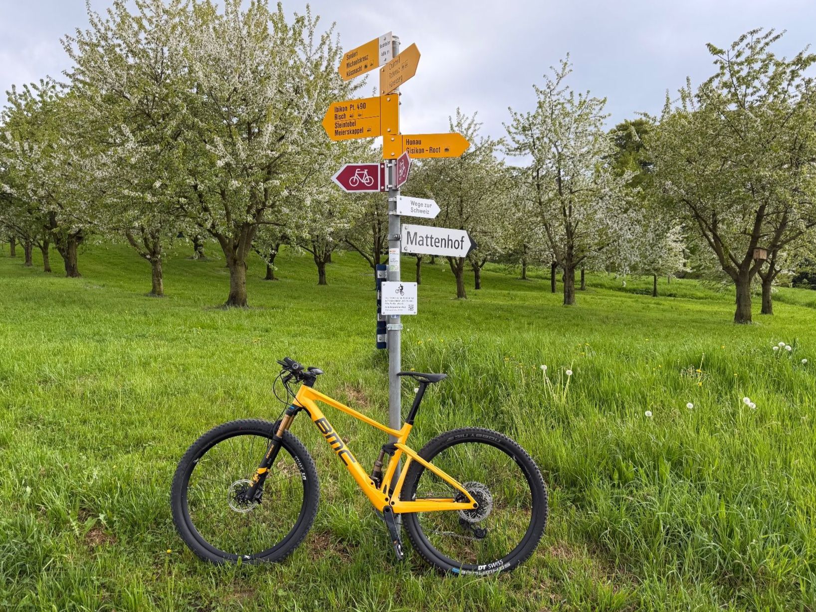 BMC Velos: BMC Fourstroke 01 One Gold Flake letzte Change! – Gebraucht aus Luzern von Lightrooms