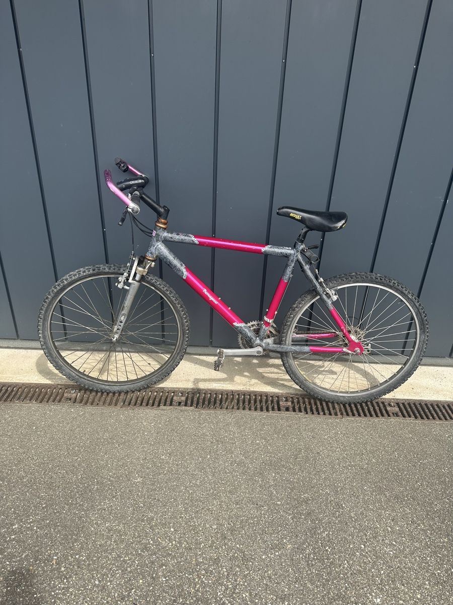 Biciclette: Mountainbike – Usato da Oetwil an der Limmat venduto da Sb78