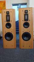 1 Paar Infinity Renaissance 90 Eiche