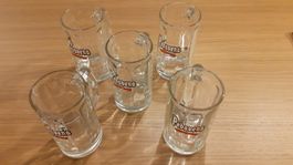 Biergläser "Pedavena"