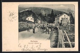AK Vallorbe, Paysage alpestre, 1902