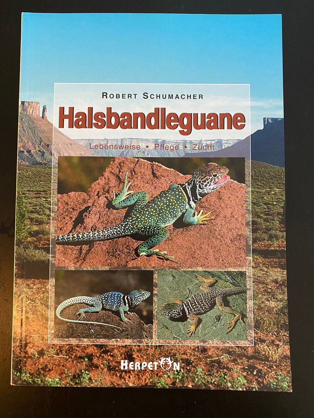 Bücher: 6 Echsen-Bücher (Halsbandleguan, Bartagame, Eidechse etc.) – Gebraucht aus Hölstein von Chabischrut 5