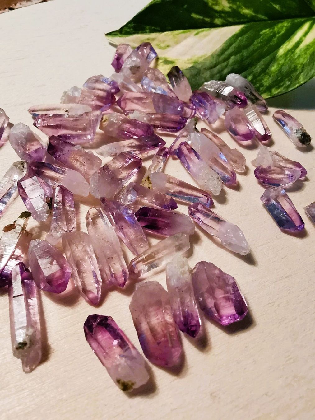 Minerali & Pietre curative: 1-2cm natürlich Amethyst-Kristall Spitzen – Nuovo e nell'imballaggio originale da Dierikon venduto da Buntspecht-10 4